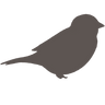 Sparrow Lane Event Rentals logo